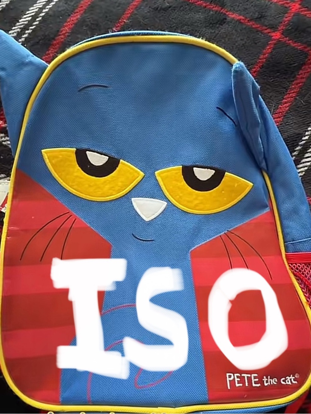 ISO PETE THE CAT BACKPACK!